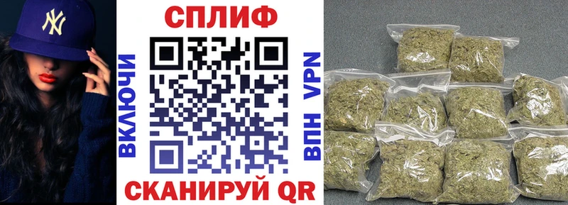 Бошки Шишки планчик  Муравленко 